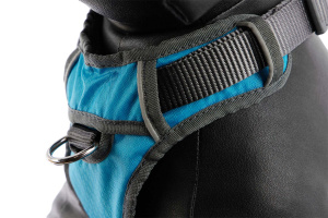  Polstrovaný postroj pro psy Red Dingo v krásné tyrkysové barvě je skvělý parťák na každodenní venčení ve městě i v přírodě, ale neztratí se ani při sportovních aktivitách (2)