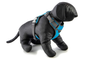  Polstrovaný postroj pro psy Red Dingo v krásné tyrkysové barvě je skvělý parťák na každodenní venčení ve městě i v přírodě, ale neztratí se ani při sportovních aktivitách (5)