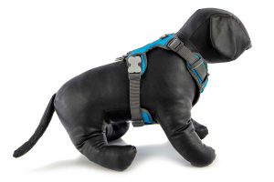  Polstrovaný postroj pro psy Red Dingo v krásné tyrkysové barvě je skvělý parťák na každodenní venčení ve městě i v přírodě, ale neztratí se ani při sportovních aktivitách (6)