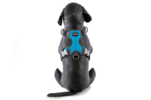  Polstrovaný postroj pro psy Red Dingo v krásné tyrkysové barvě je skvělý parťák na každodenní venčení ve městě i v přírodě, ale neztratí se ani při sportovních aktivitách (7)