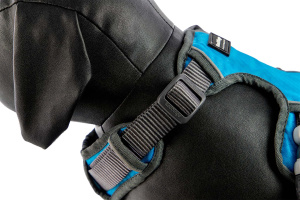  Polstrovaný postroj pro psy Red Dingo v krásné tyrkysové barvě je skvělý parťák na každodenní venčení ve městě i v přírodě, ale neztratí se ani při sportovních aktivitách (9)