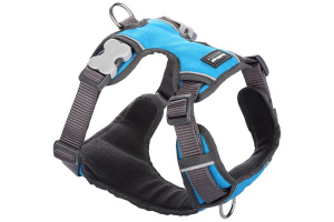  Polstrovaný postroj pro psy Red Dingo v krásné tyrkysové barvě je skvělý parťák na každodenní venčení ve městě i v přírodě, ale neztratí se ani při sportovních aktivitách