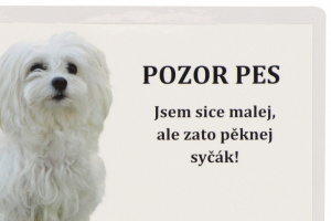 Samolepka maltézáčka – „POZOR PES, jsem sice malej, ale zato pěknej syčák!“. Rozměry 21,5 cm × 15,5 cm. (2)