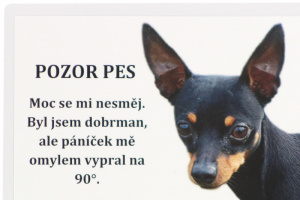 Samolepka krysaříka – „POZOR PES. Moc se mi nesměj. Byl jsem dobrman, ale páníček mě omylem vypral na 90°“. Rozměry 21,5 cm × 15,5 cm. (2)