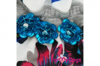 Obleček pro fenky malých až středních plemen – stylové letní úpletové šaty od ForMyDogs FLOWERS BLUE. (4)