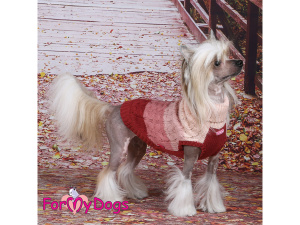  Obleček pro psy i fenky – stylový a teplý svetr GRADIENT BEIGE od ForMyDogs. Materiál 100% akryl