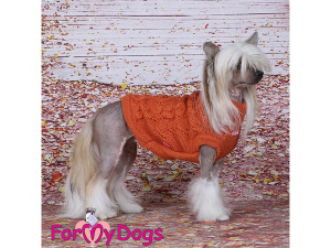  Obleček pro psy i fenky – stylový a teplý svetr PIGTAIL ORANGE od ForMyDogs. Materiál 100% akryl