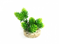  Dekorativní umělá rostlina do akvária od Sydeco. Přirozený vzhled, stabilní základna z oblázků spojených pryskyřicí. Výška 10 cm. (3)