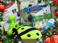    Vánoční dárkový box pro psy s vybranými pamlsky a hned dvěma hračkami. Kompletně připravený vánoční dárek – včetně sváteční mašle. (6)
