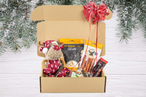  Vánoční dárkový box „SOB S VÁNOČNÍ ČEPIČKOU“ – plyšová pískací hračka, gumový míček a výběr oblíbených psích pamlsků v krásném dárkovém balení