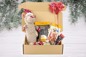  Vánoční dárkový box „VELKÝ PLYŠOVÝ SOB S VÁNOČNÍ ČEPIČKOU“ – plyšová pískací hračka, gumový míček a výběr oblíbených psích pamlsků v krásném dárkovém balení