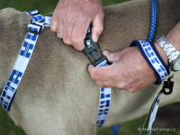   Lehoučké stylové vodítko pro psy HURTTA z pevného nylonu s neoprenovou ergonomickou rukojetí. Barva modrá. (FOTO 3)