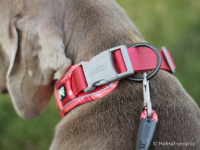   Pevné lanové vodítko pro psy HURTTA vyráběné stejnou tkací technikou jako horolezecká lana. Barva červená, vzor Coral Camo. (FOTO 2)