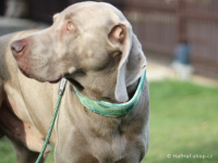    Pevné lanové vodítko pro psy HURTTA vyráběné stejnou tkací technikou jako horolezecká lana. Barva zelená, vzor Park Camo. (FOTO 3)