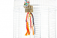  Závěsná hračka do klecí a voliér pro ptáky z dřevěného špalíčku, řetízku a barevných třásní (5)