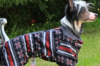 FOTO – Obleček pro psy – šedý overal z měkké pleteniny (3)
