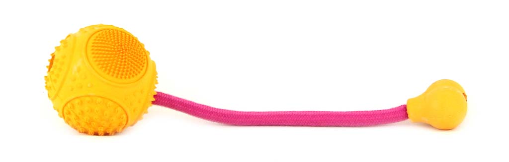 Speciálně tvarovaná barevná gumová hračka pro psy