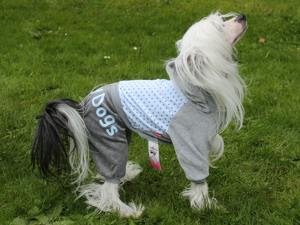 Oblečky pro psy FMD – Overal pro psy i fenky zdobený hvězdami