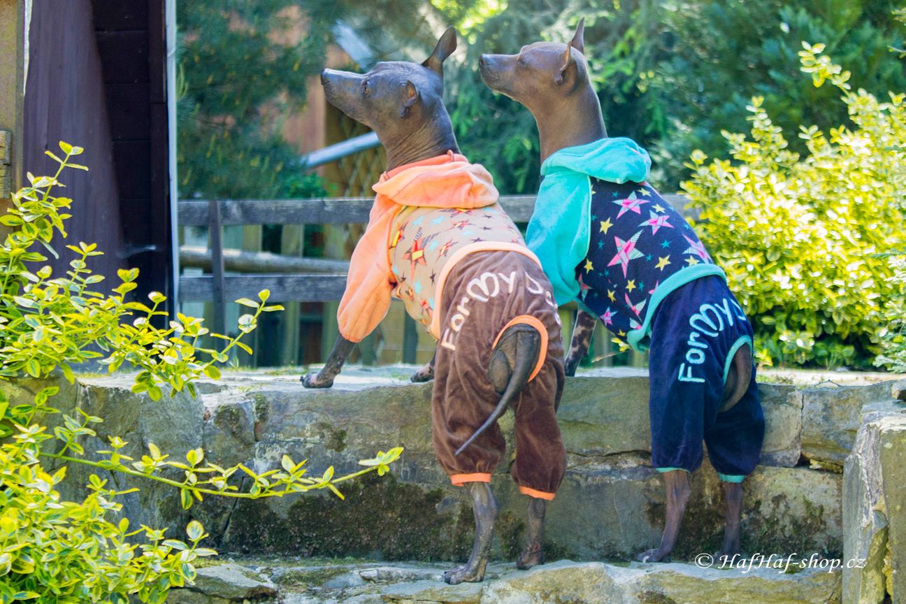 Obleček pro psy i fenky – lehký overal od For My Dogs zdobený barevnými hvězdami