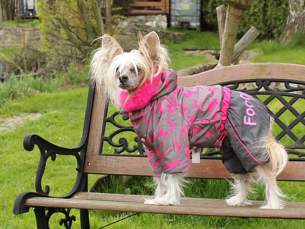 Oblečky pro psy FMD – Růžový zimní overal pro fenky FMD