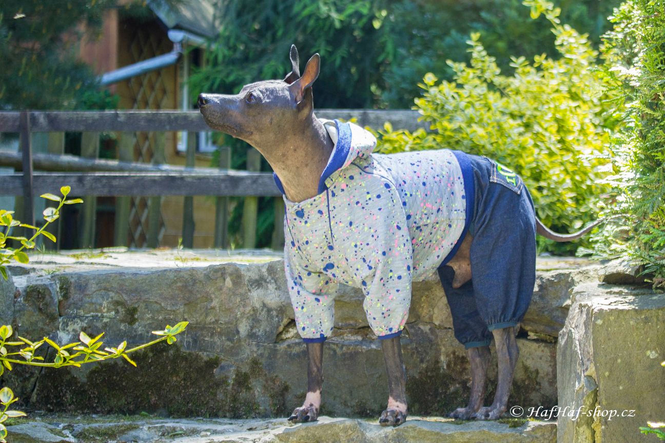 Obleček pro psy i fenky – teplejší overal od For My Dogs s barevným potiskem. Zapínání na druky na bříšku, pružné lemy