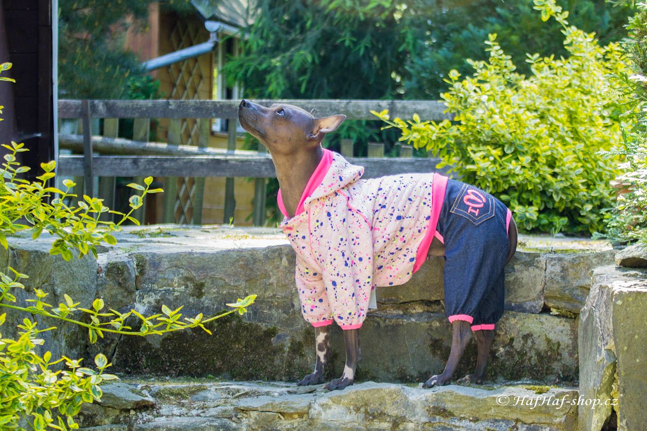 Obleček pro psy i fenky – teplejší overal od For My Dogs s barevným potiskem