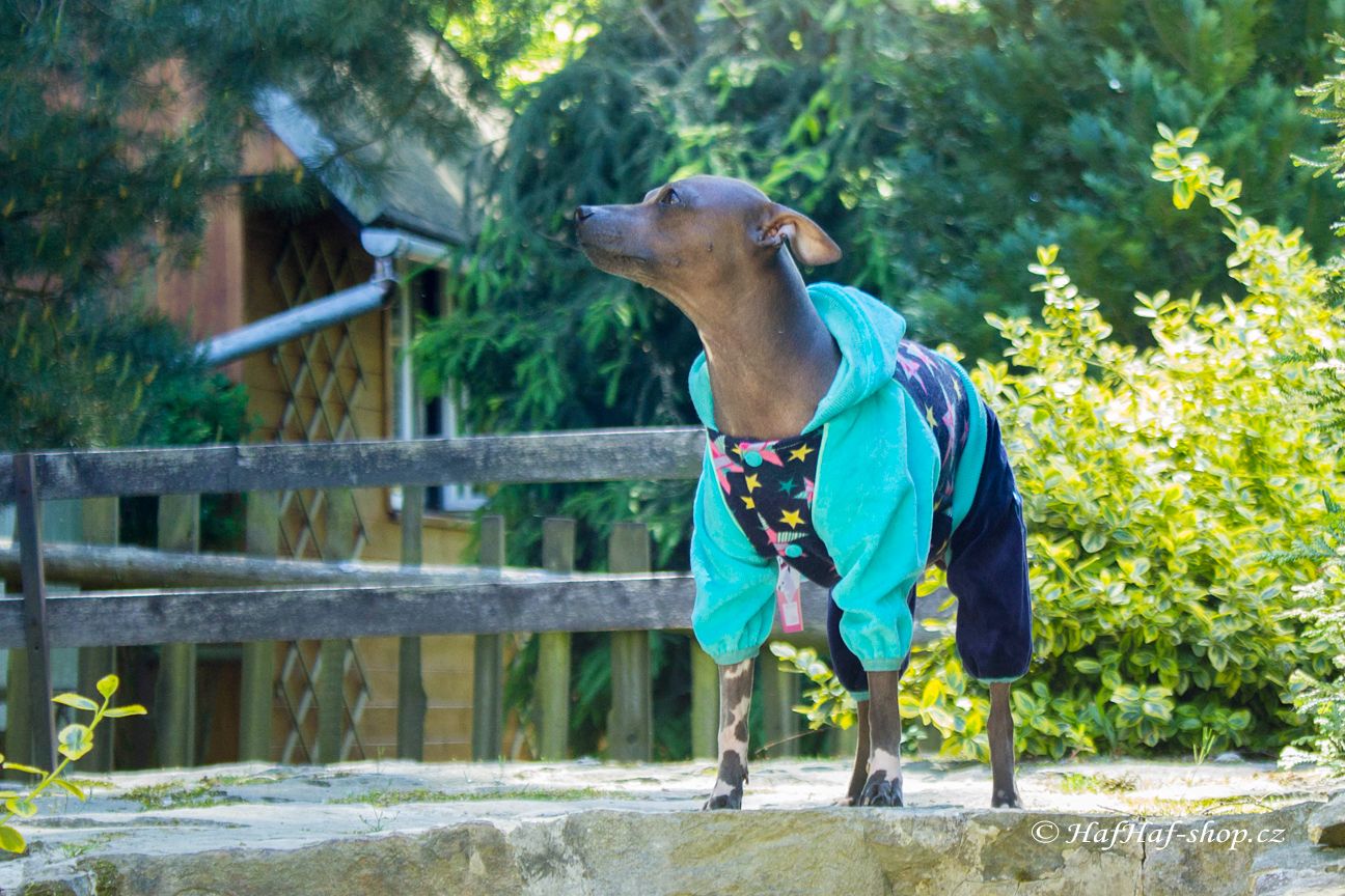 Obleček pro psy i fenky – lehký overal od For My Dogs zdobený barevnými hvězdami. Zapínání na druky na bříšku, pružné lemy