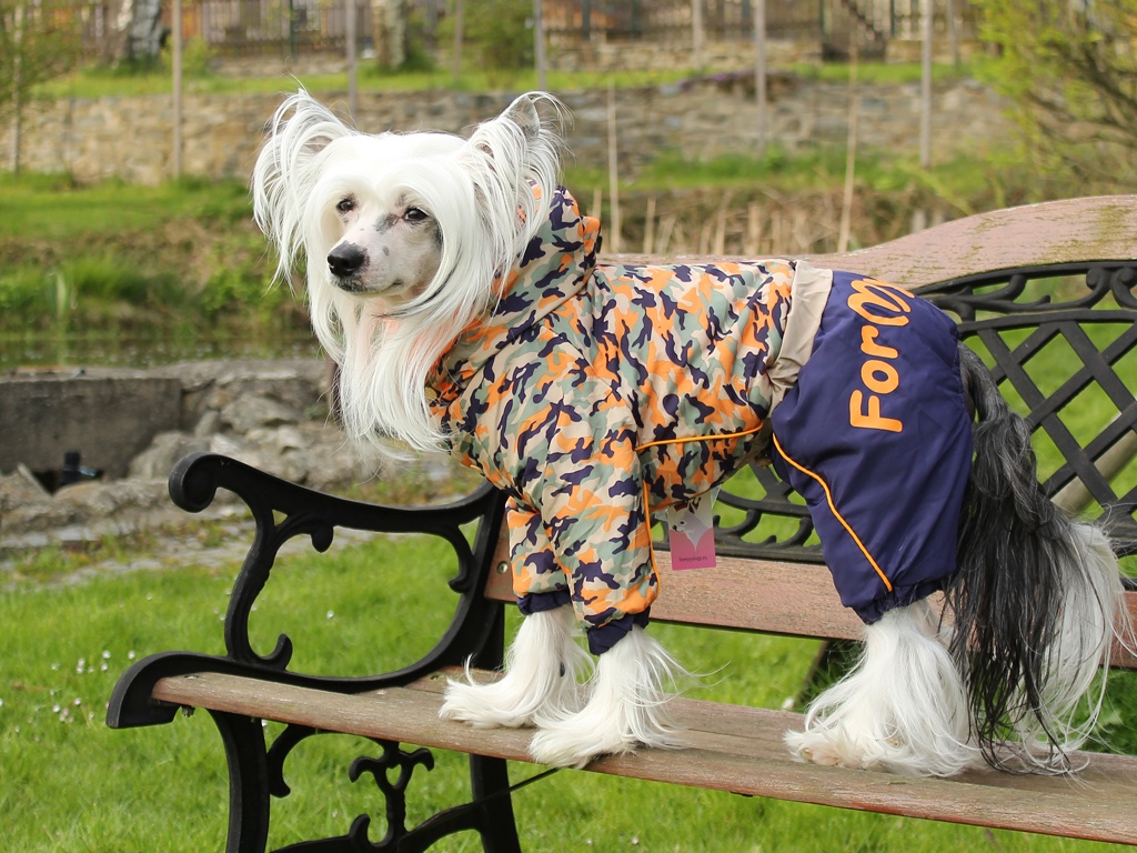 Oblečky pro psy FMD – Nepromokavý zimní overal pro psy, maskáč