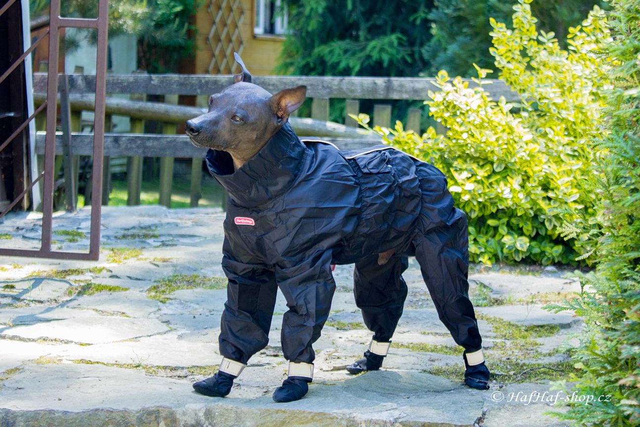 Obleček pro psy malých až středních plemen – pláštěnka od For My Dogs včetně botiček. Zapínání na zip na zádech, hladká podšívka