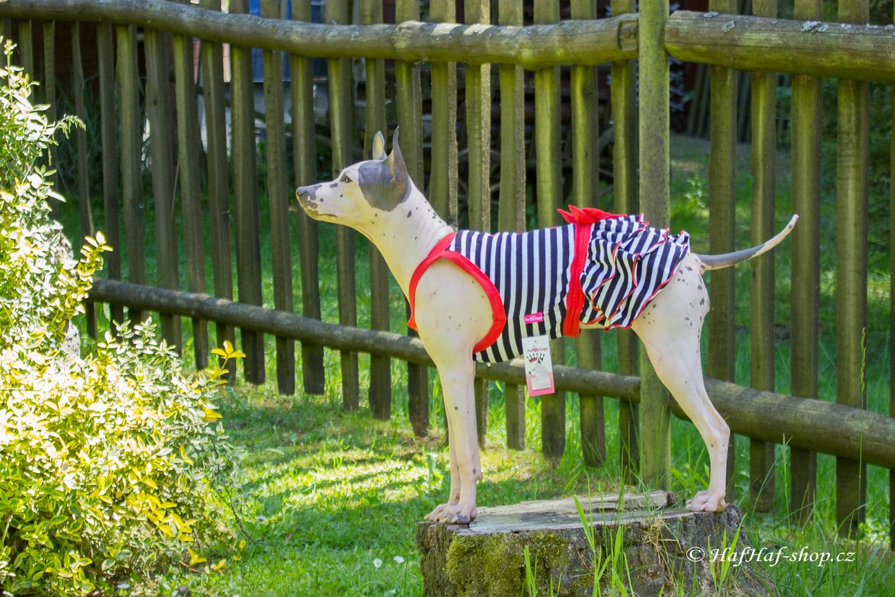 Obleček pro fenky – stylové šaty od For My Dogs. Materiál bavlna/elastan, modrobílý pruhovaný vzor, červená mašle na zádech