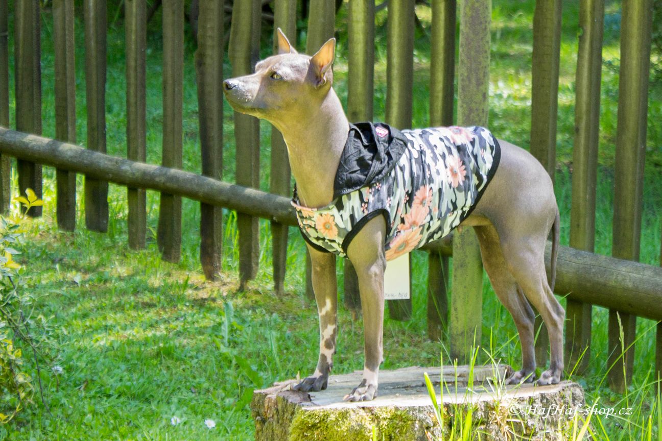 Obleček pro psy i fenky – stylové tílko s kapucí od For My Dogs