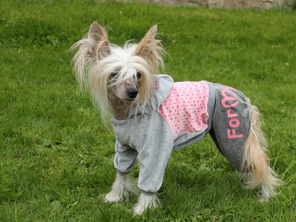 Oblečky pro psy FMD – Overal pro psy i fenky zdobený hvězdami