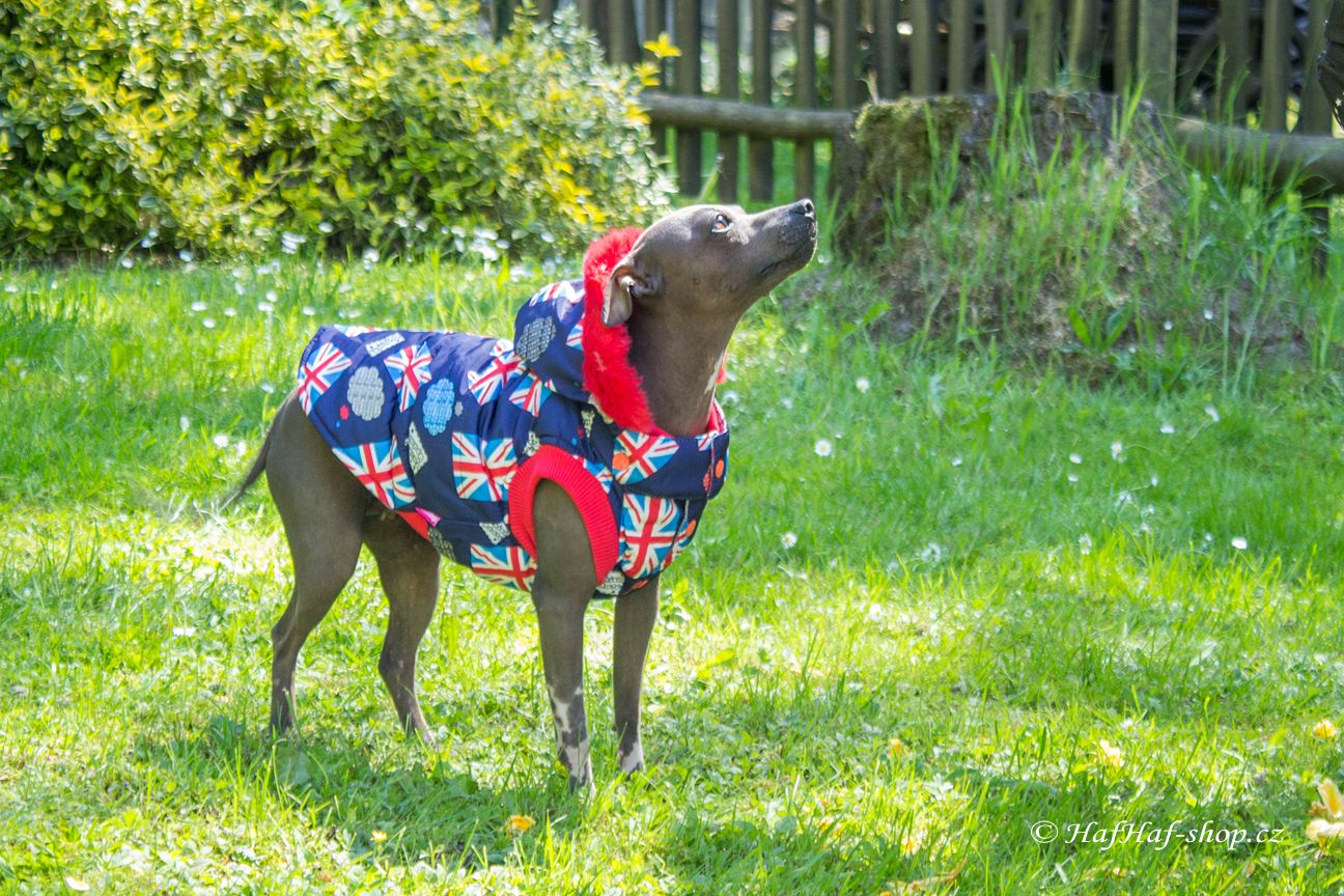 Oblečky pro psy i fenky – zimní bunda For My Dogs