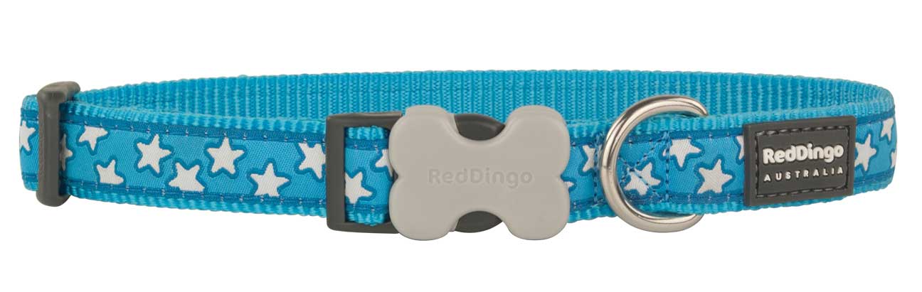 Obojek pro psa RED DINGO – Star Turquoise