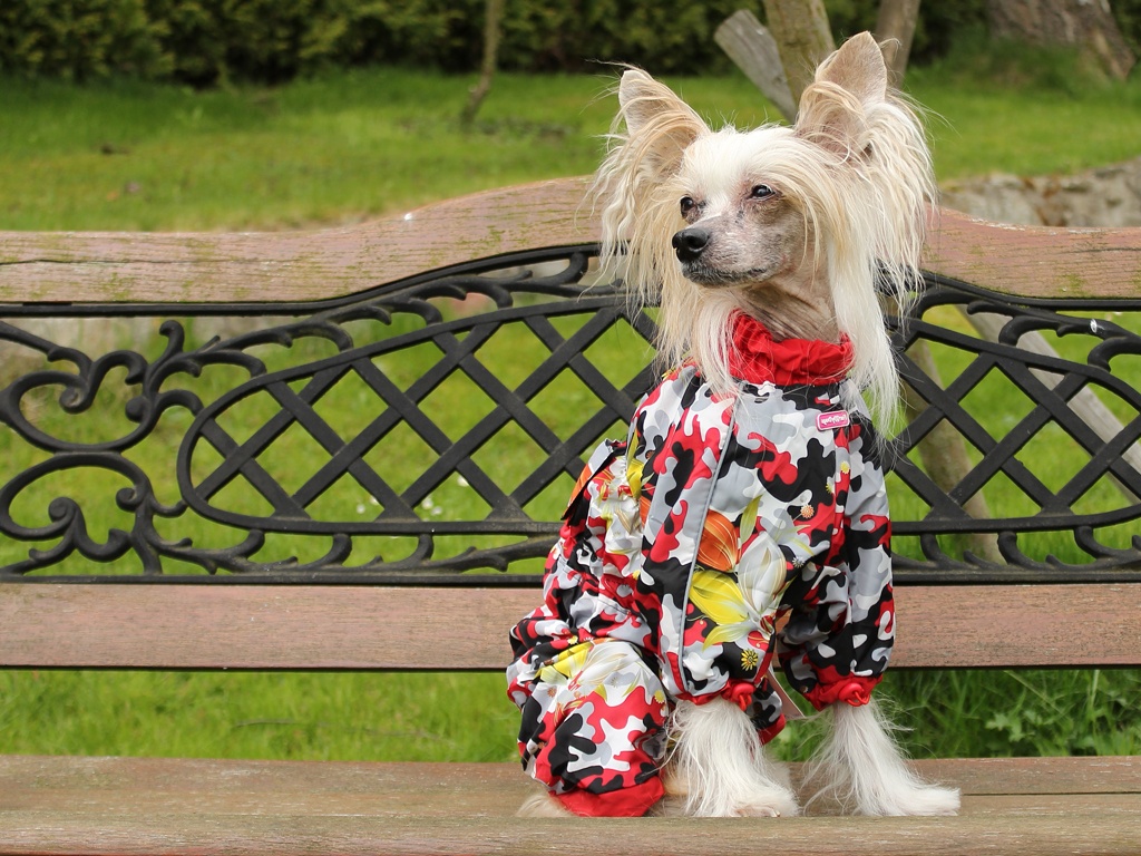 Oblečky pro psy FMD – Pláštěnka pro fenky For My Dogs CAMOUFLAGE