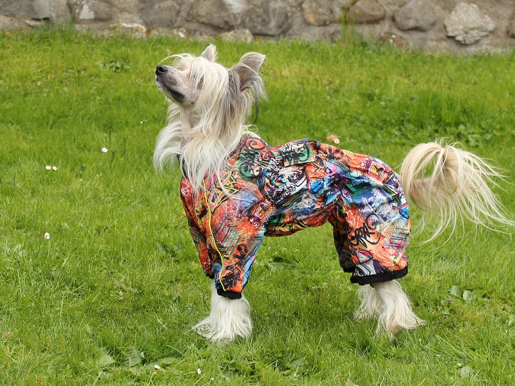 Oblečky pro psy FMD – Pláštěnka pro fenky od For My Dogs