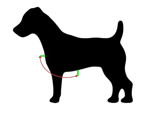 Autopostroj pro psy – měření hrudníku