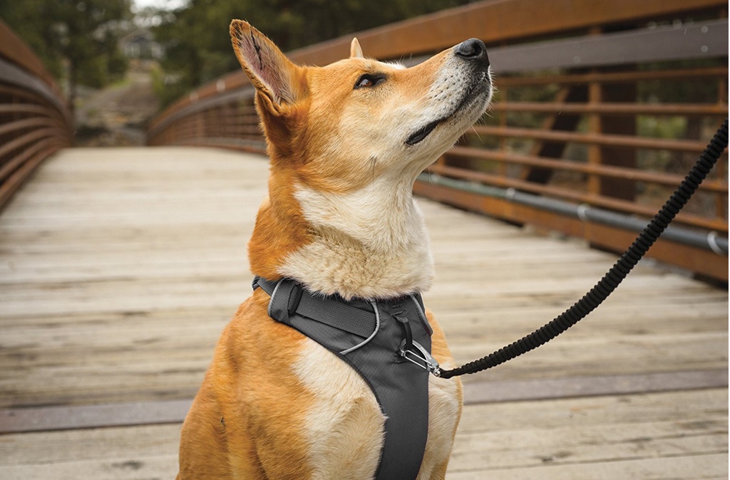 Postroj pro psy RUFFWEAR Front Range