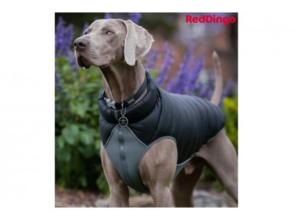 Oboustranná zimní bunda pro psy i fenky od RD, barva černá/šedá