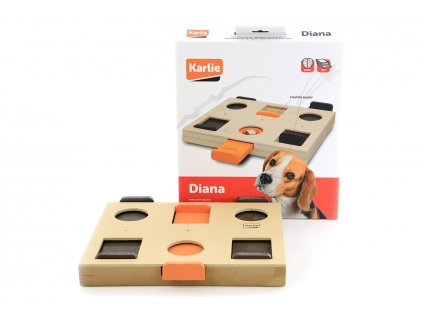 interaktivni hra Interaktivní hra pro psy DIanapsy diana