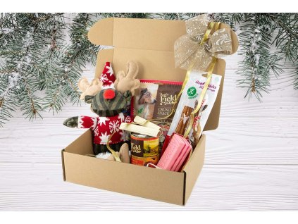 🎄 Vánoční dárkový box pro psy – pochoutky a hračky v jednom