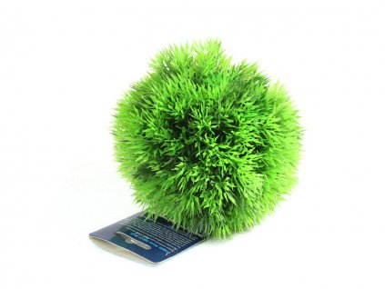 rostlina small moss ball 14