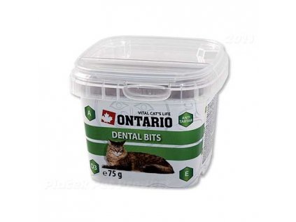 Pamlsky pro kočky Ontario Snack Dental Bits 75g