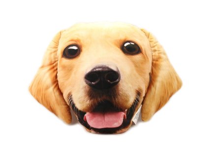 Polštář s potiskem – zlatý retrívr