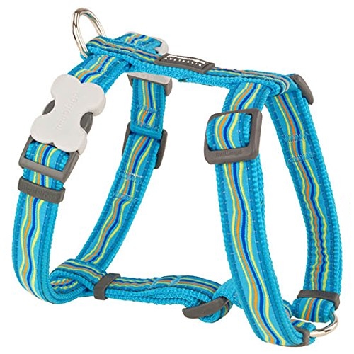 Postroj pro psy Dreamstream Turquoise