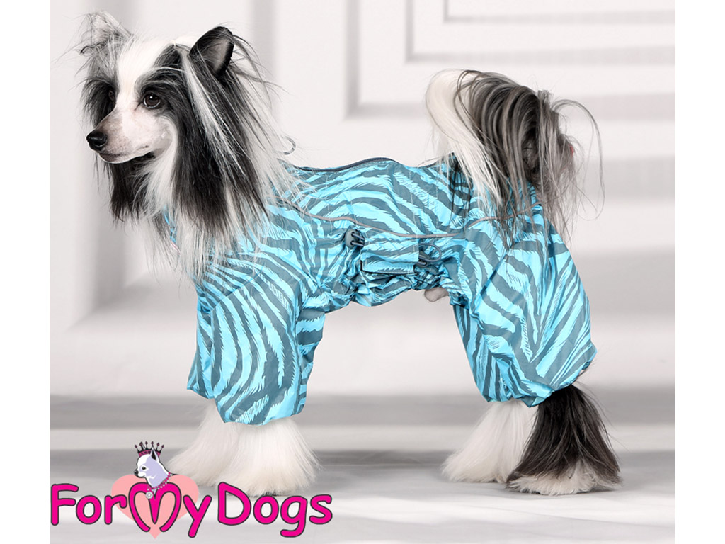 FOR MY DOGS pláštěnka ZEBRA BLUE, modrá Velikost: 18/XL