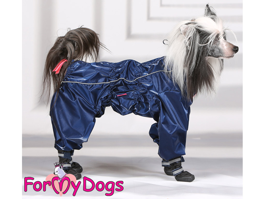 FORMYDOGS pláštěnka 4LEGS, včetně botiček, modrá Velikost: 22/XXXL