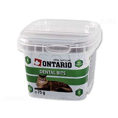 Pamlsky pro kočky Ontario Snack Dental Bits 75g