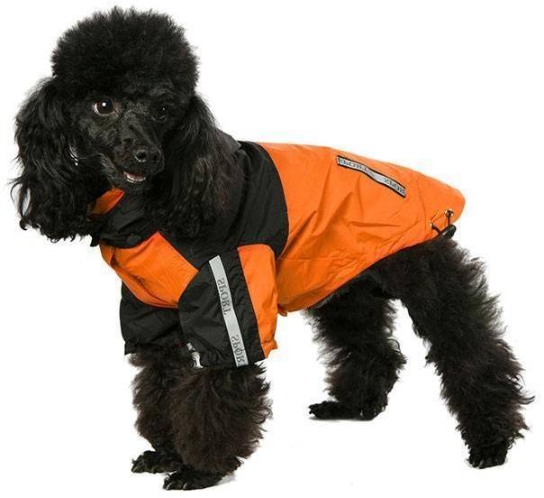 URBAN PUP Obleček pro psy i fenky – nepromokavá bunda, oranžovo-černá XS