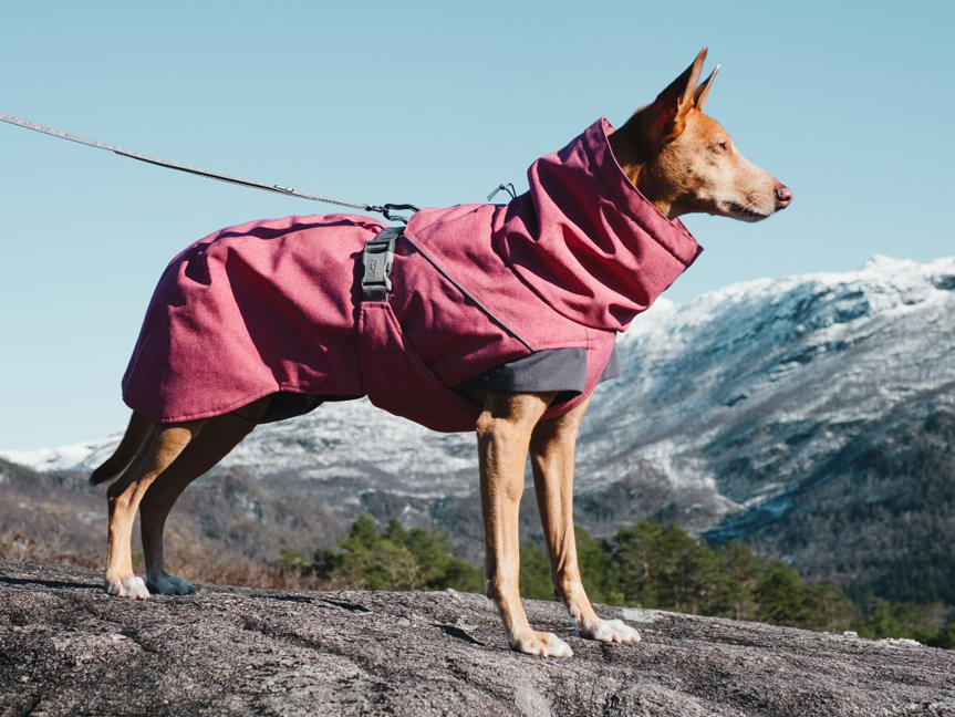 HURTTA Obleček pro psy Hurtta Expedition parka červená Velikost: 55